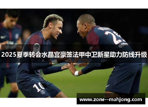 2025夏季转会水晶宫豪签法甲中卫新星助力防线升级