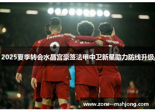 2025夏季转会水晶宫豪签法甲中卫新星助力防线升级